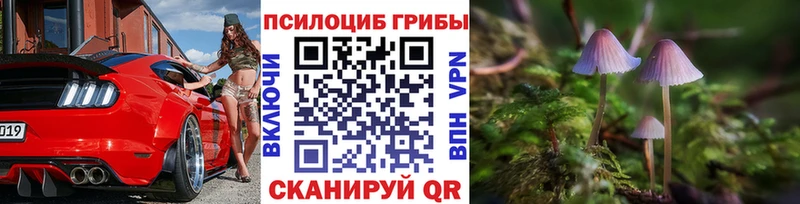 Псилоцибиновые грибы Psilocybine cubensis  Анадырь 